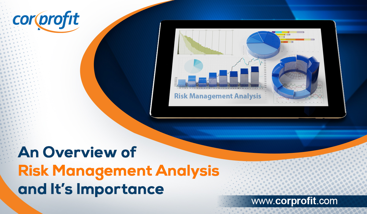Risk Management Analysis